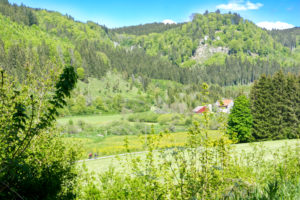 Blick ins Bäratal